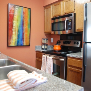Closeup shot of model home kitchen with stainless steel appliances and bright paint and accessories